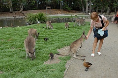 0819 Wildlife Habitat Port Douglas